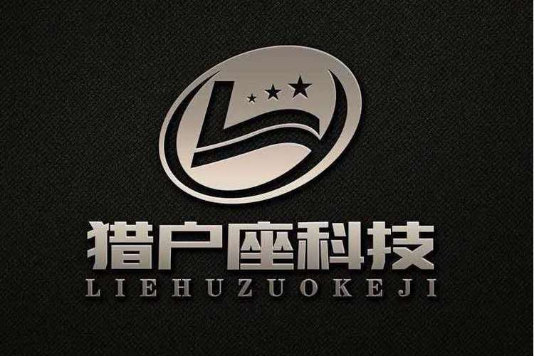 网络技术服务与信息安全软件开发 数字时代的核心竞争力